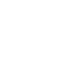 the ark nft